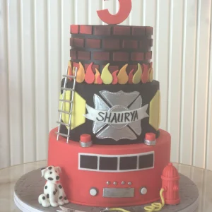Birthday-Boy-cake-18